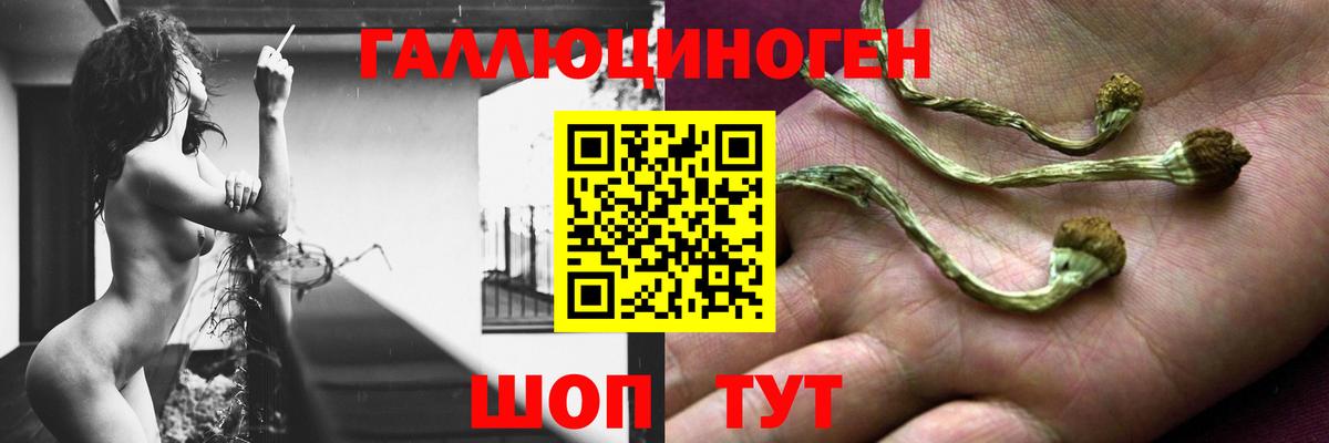 Барнаул  Галлюциногенные грибы MAGIC MUSHROOMS  Вход с VPN 